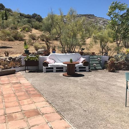 Cortijo Nuevo Alojamiento Rural Cuevas del Becerro Exteriör bild