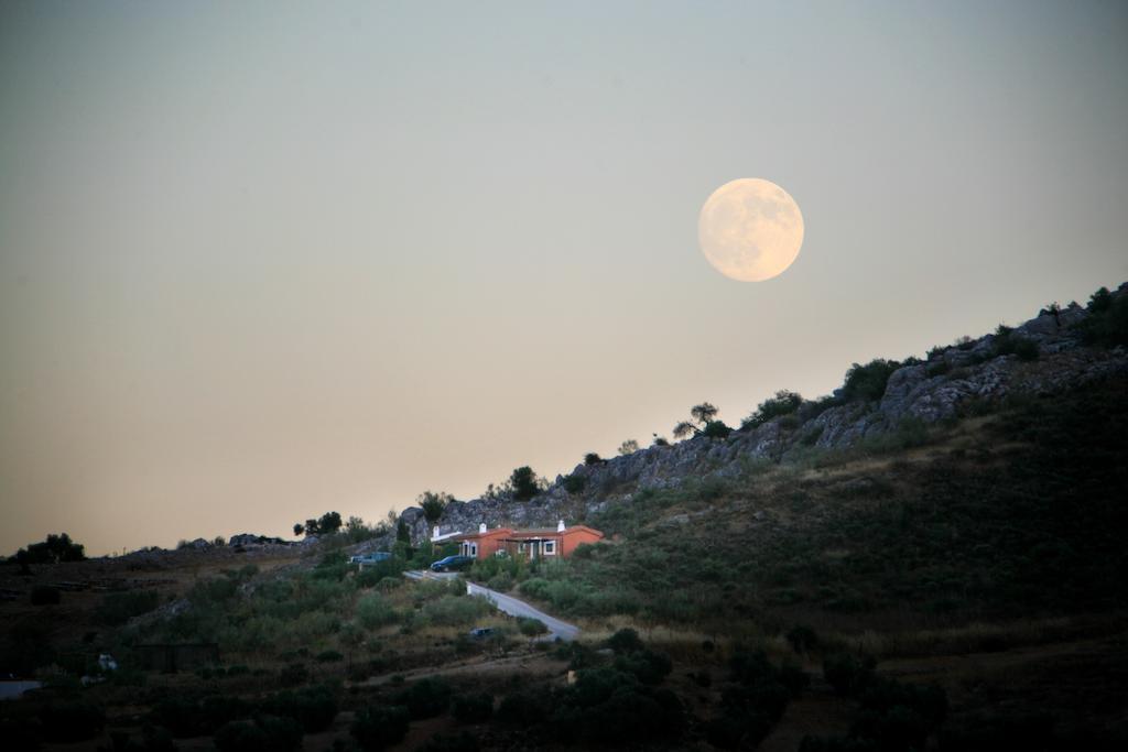 Cortijo Nuevo Alojamiento Rural Cuevas del Becerro Exteriör bild